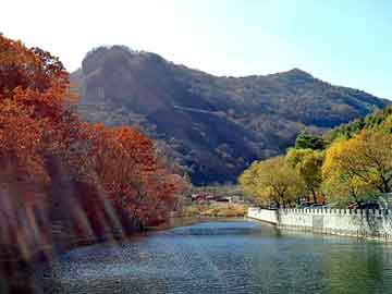 新澳天天开奖资料大全旅游团，董卿父母简历